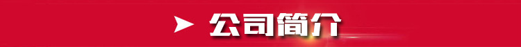 1公司簡(jiǎn)介